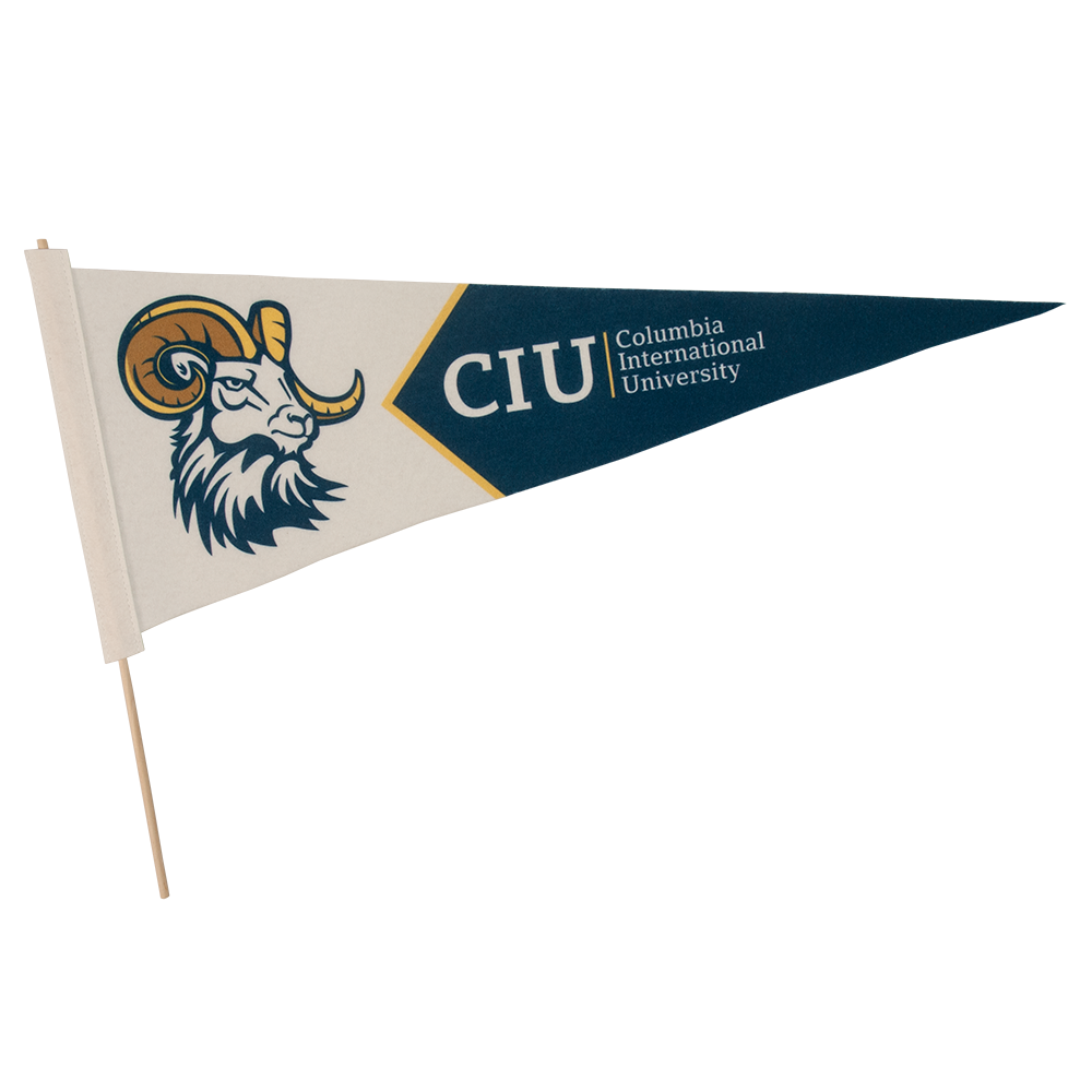 9" x 24" Premium Felt Pennant