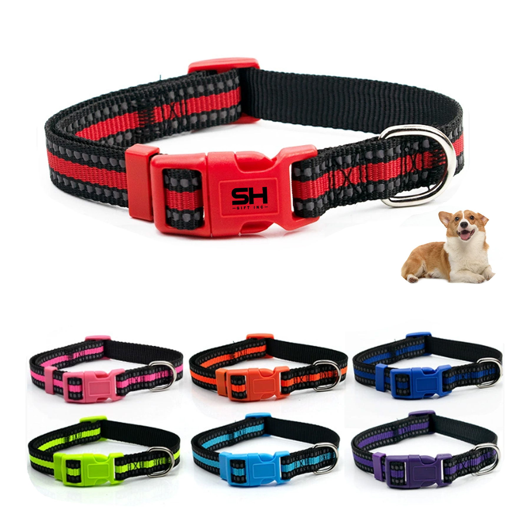 Pet Training Collar 3