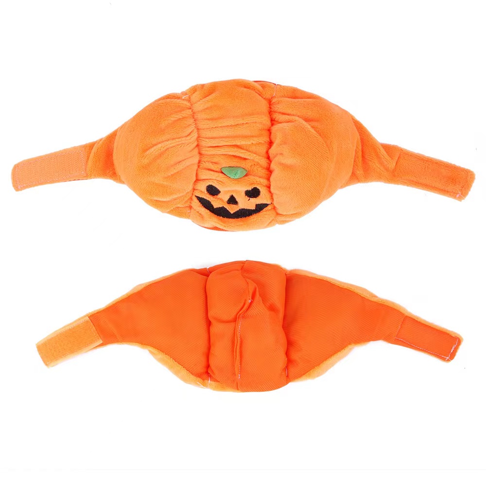 Small Dog Accessories Pets Clothes 3