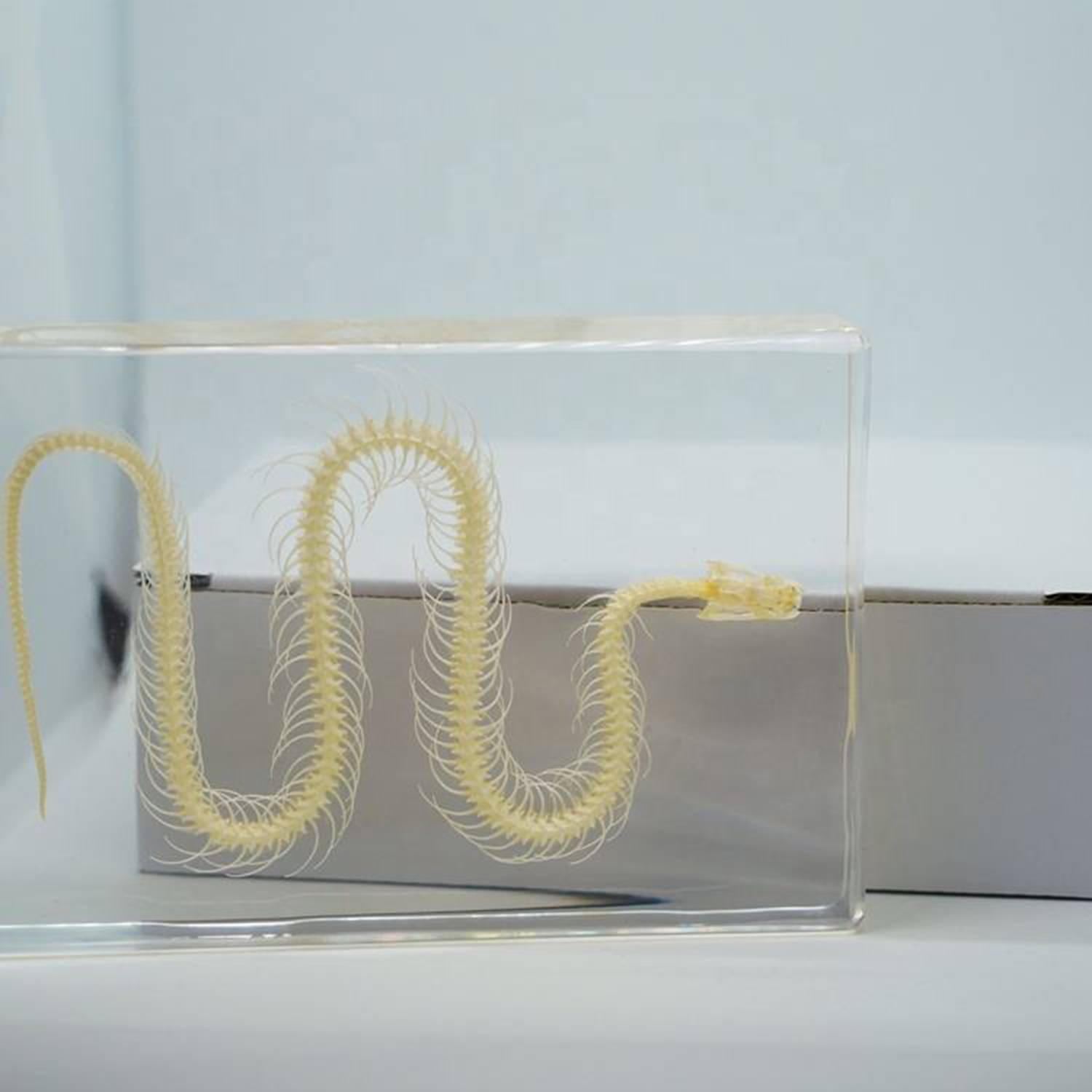 Custom acrylic ornaments 4