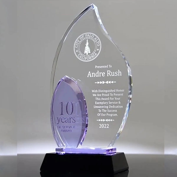 Customized Crystal Flame Award Trophy 2