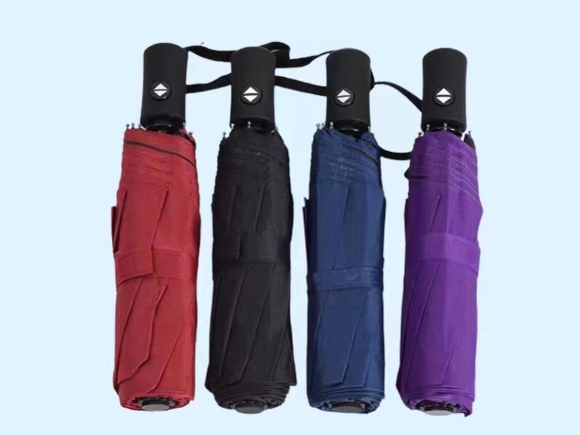 10-Rib Automatic Folding Umbrella 4