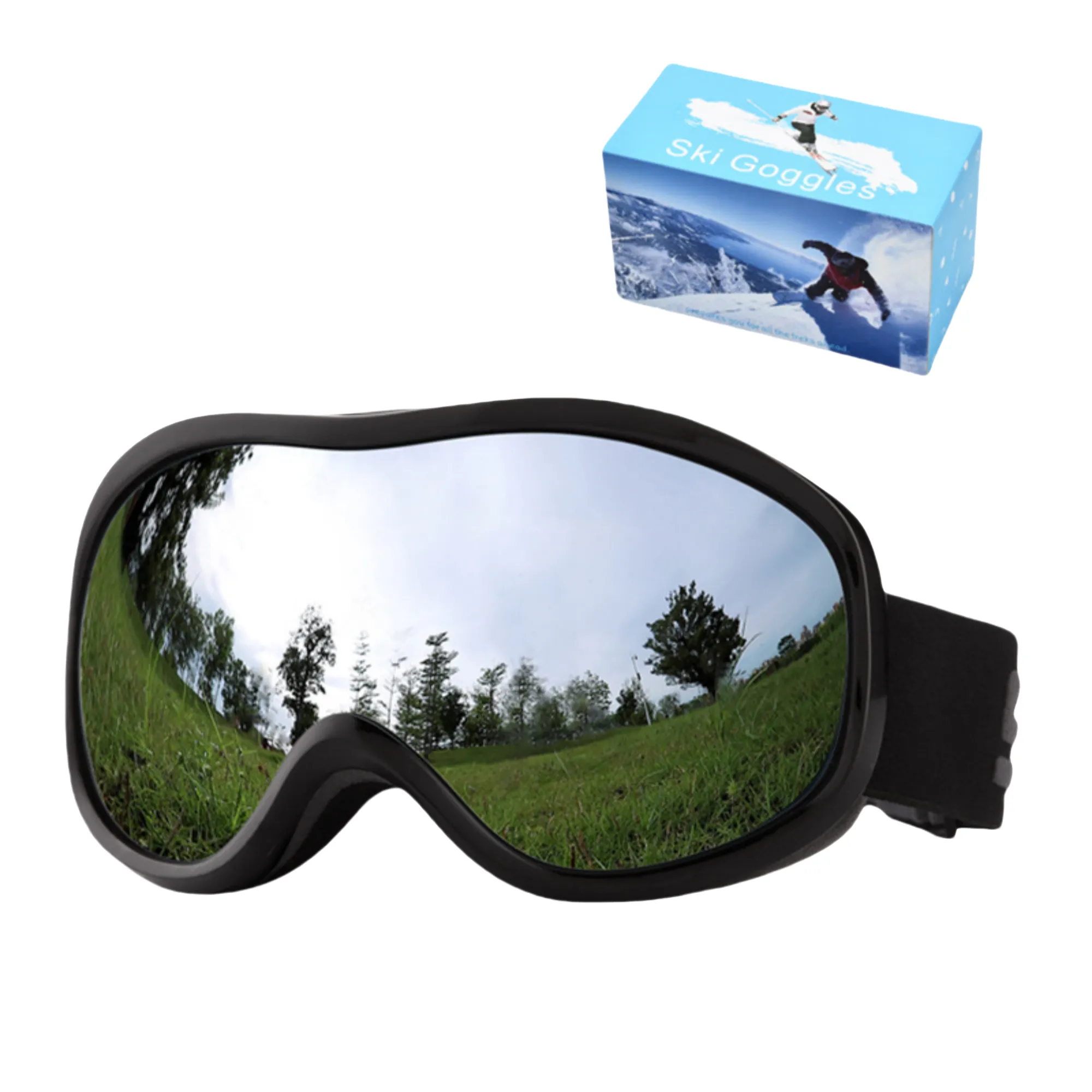 Ski Goggles 3