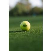 Srixon Q-STAR ULTISPEED Golf Balls - 12 Pack 70