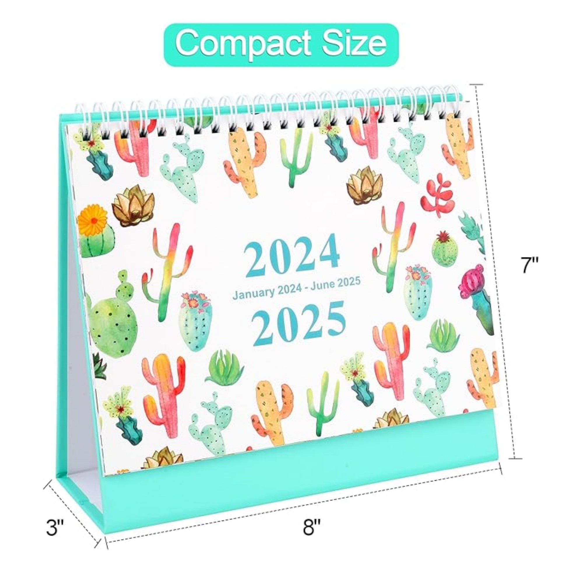 18 Months 8"*3"*7" Cactus Desk Calendar From Jan 2025 To June 2026 3