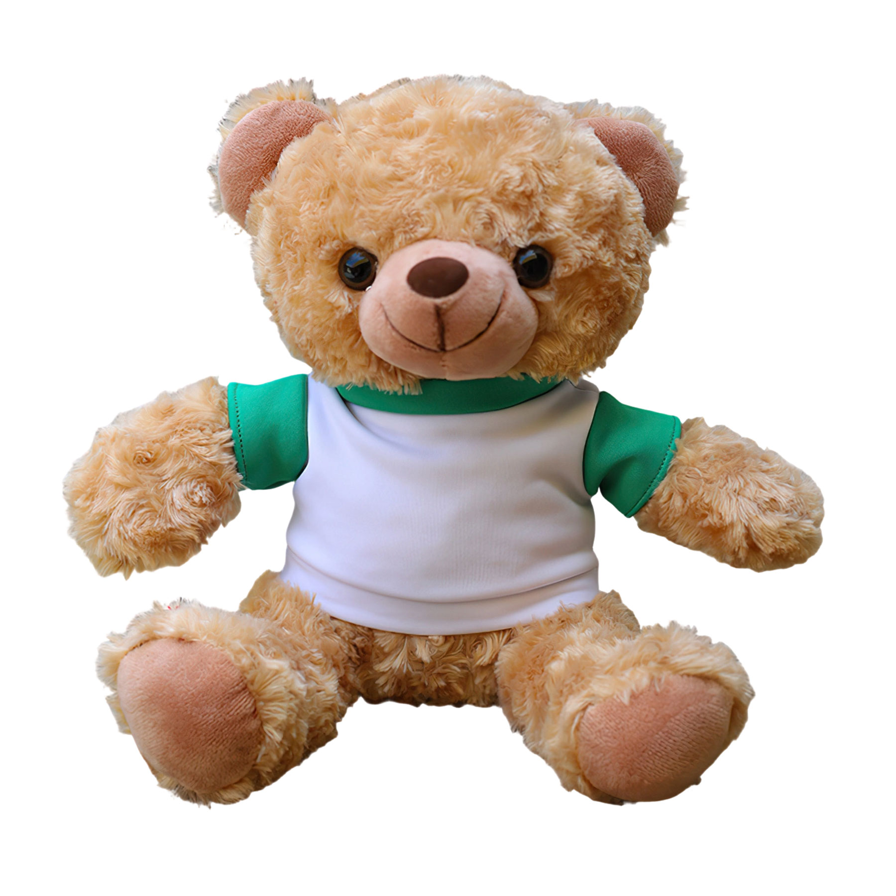 11'' Seated Style Stuffed Plush Teddy Beat With T-shirt 10