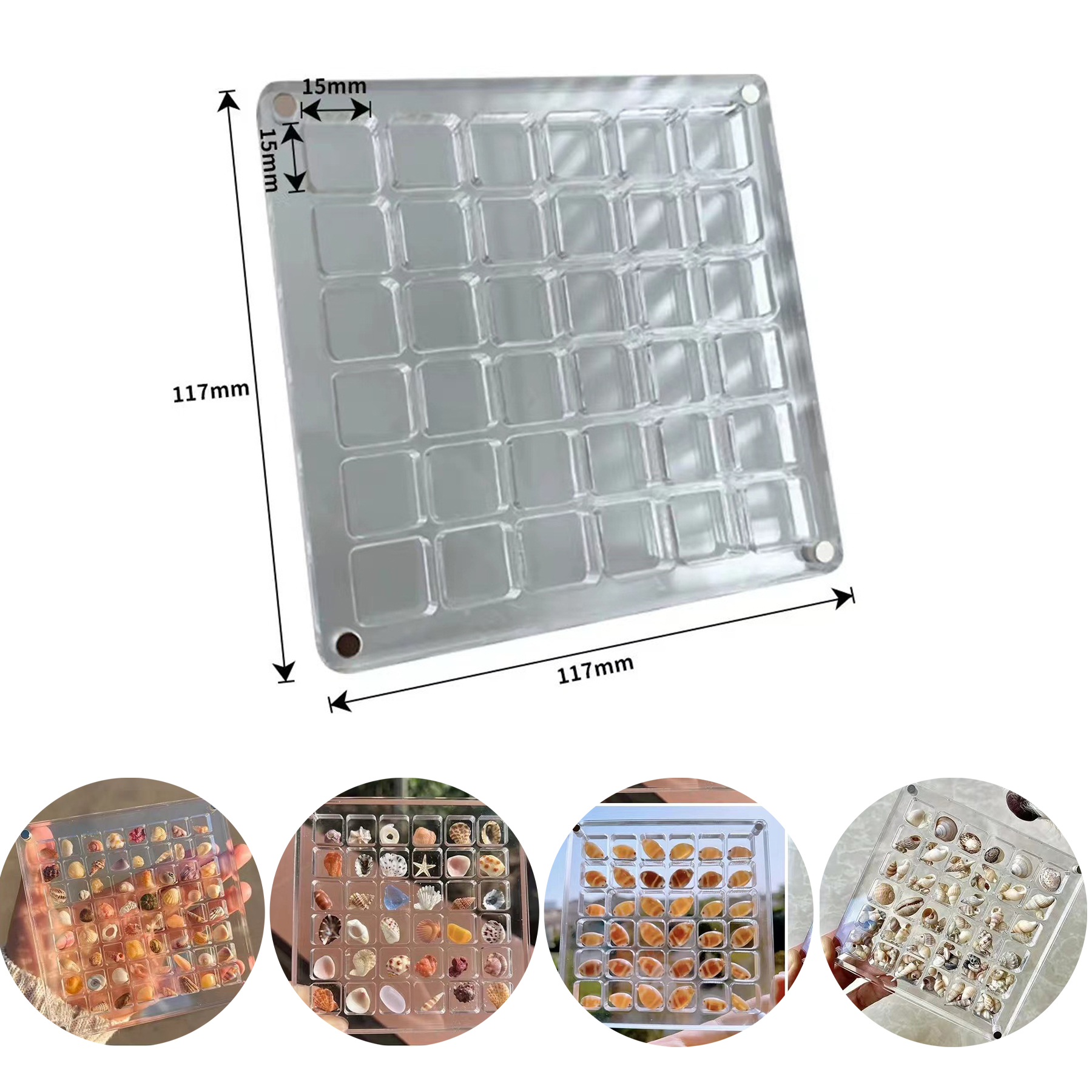 Acrylic Magnetic Seashell Display Box