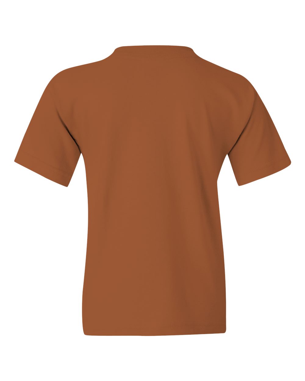 Youth Heavy Cotton™ T-Shirt - 5000B 258