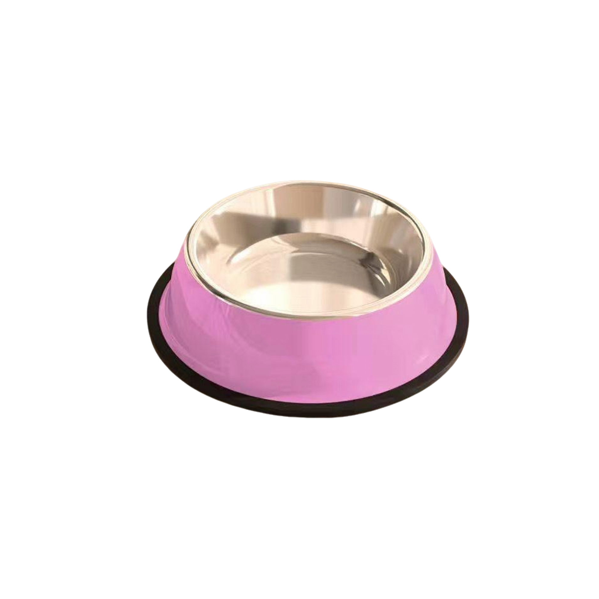 Stainless Steel Pet Treat Bowl With Polished Rim 5