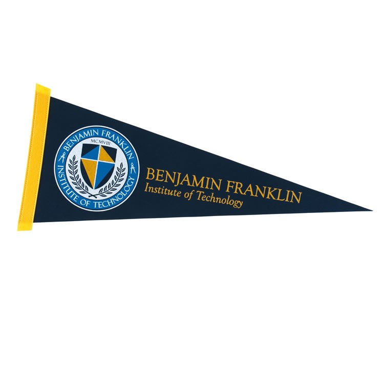 9" x 24" Colored Felt Pennant 18