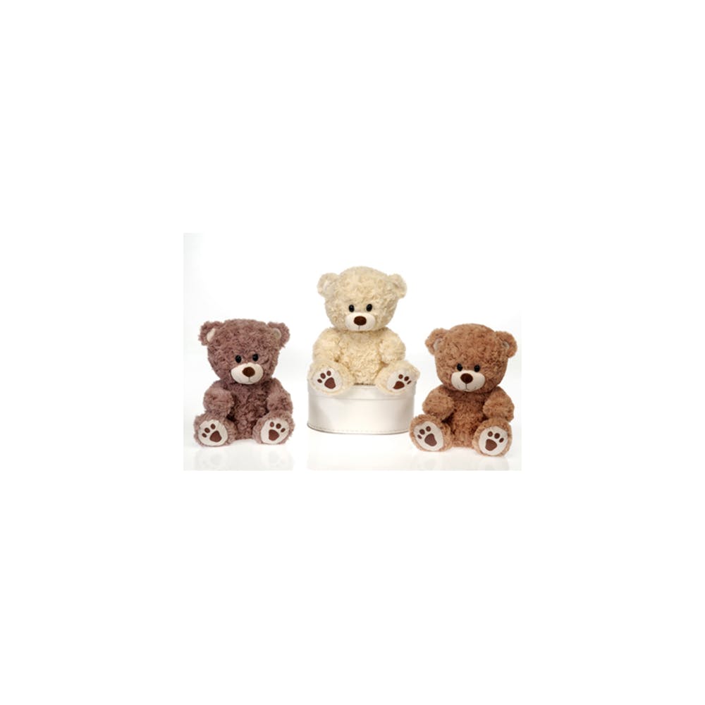 Paw Print Bear Plush Toys - Assorted Colors 9.5" 1