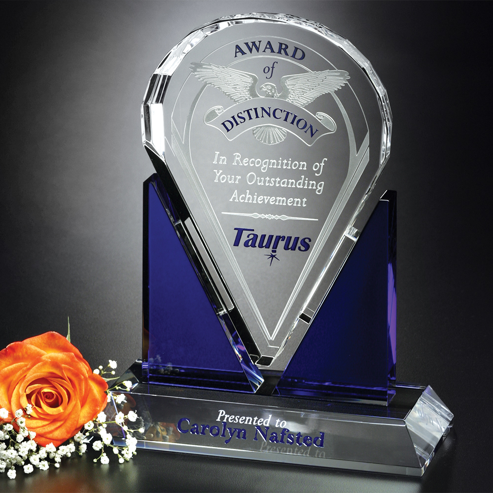 Distinction Award 7