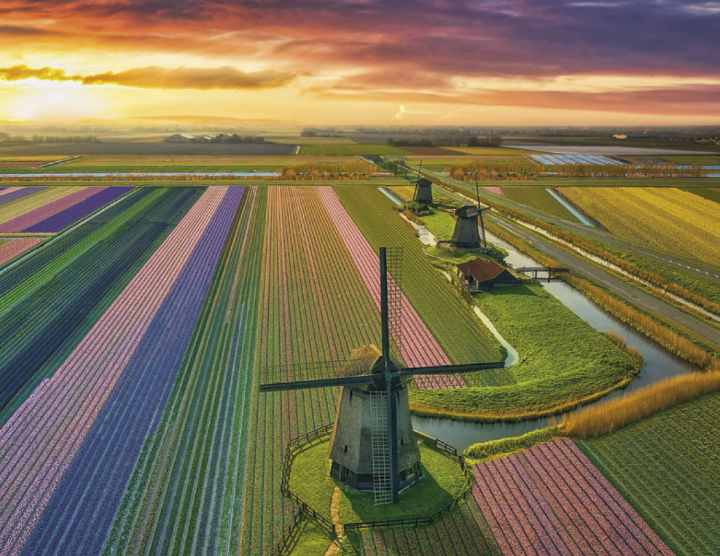 Good Value™ View from Above - Stapled Calendar 61