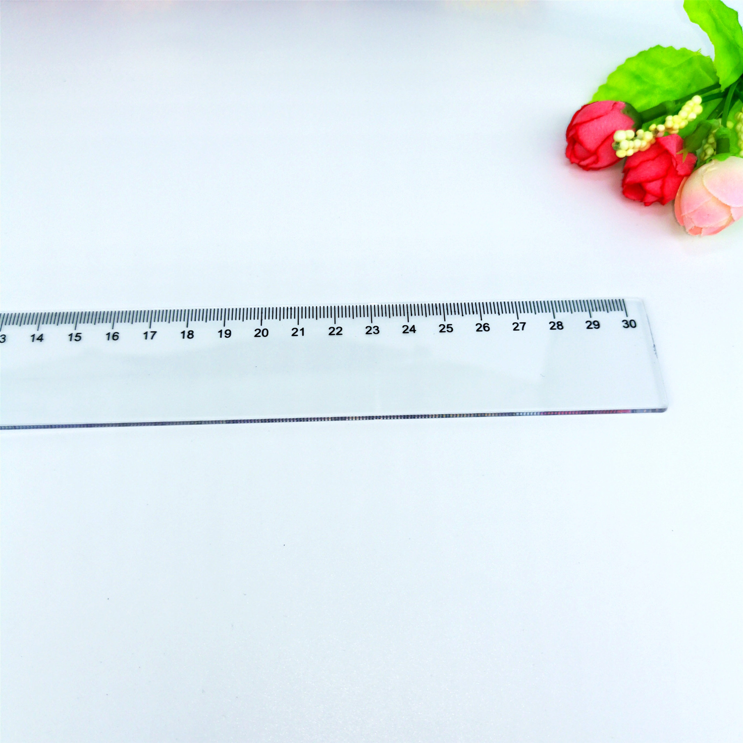 Plastic Clear Ruler 3