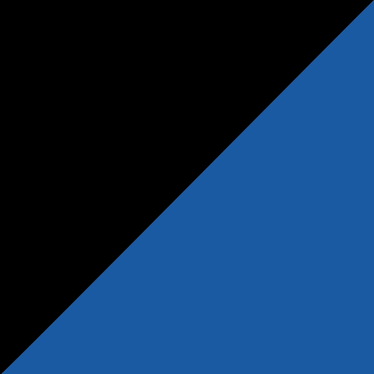 The Tradeshow Two-tone Tote Bag 7