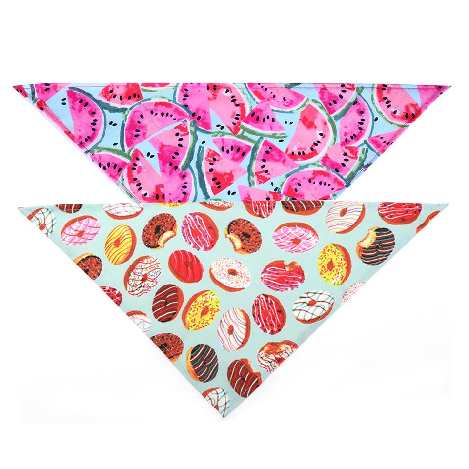 Pet triangle scarf 1