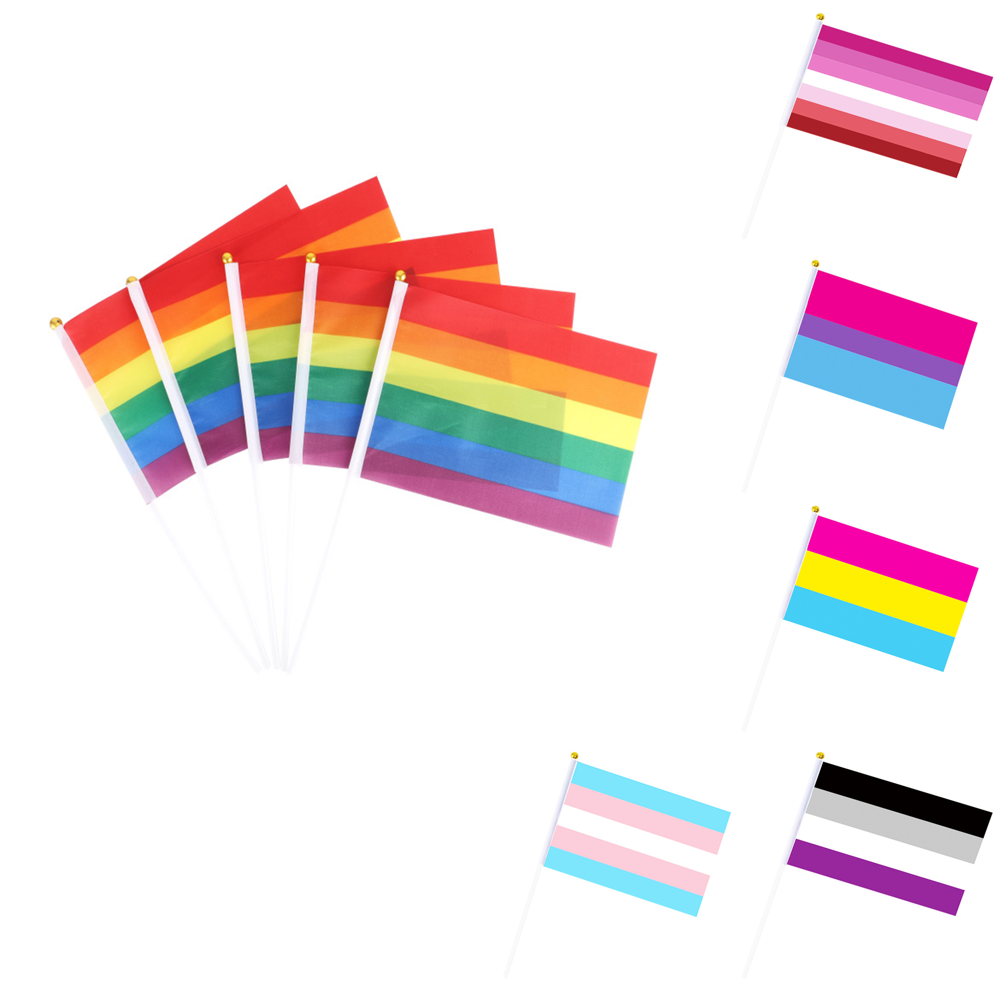 Holding A Rainbow Flag 2