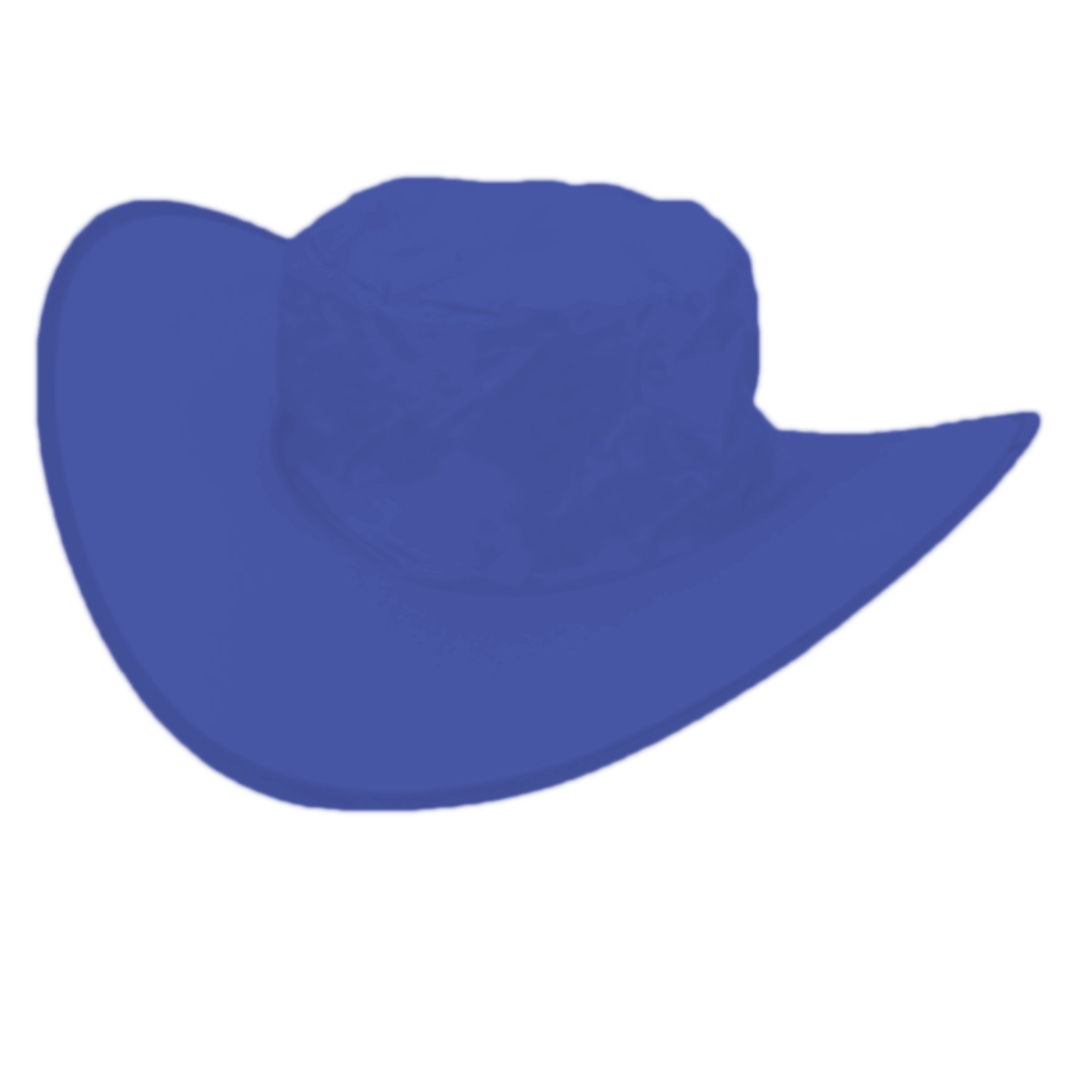 Foldable Cowboy Hat 5