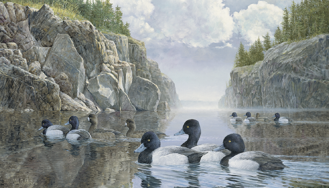 Triumph® Calendars North American Waterfowl Calendar 14