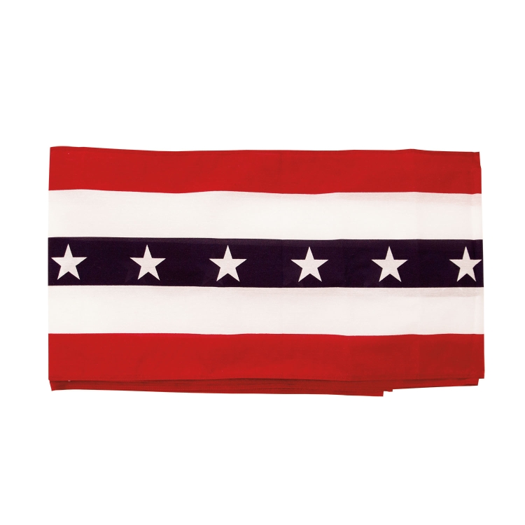 Stars & Stripes Bunting 2
