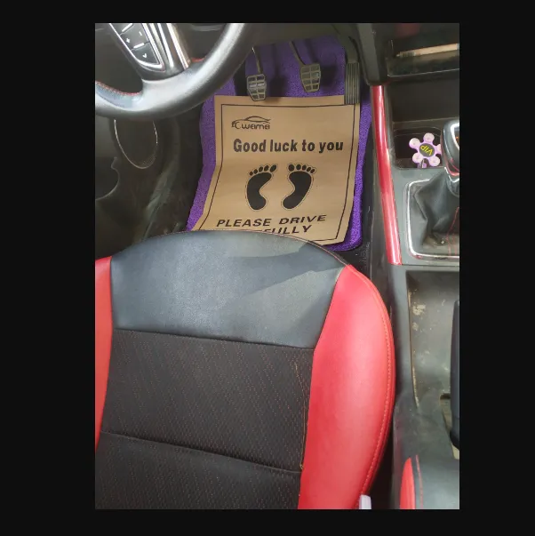 Disposable Car Mats 1