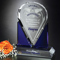 Distinction Award 3