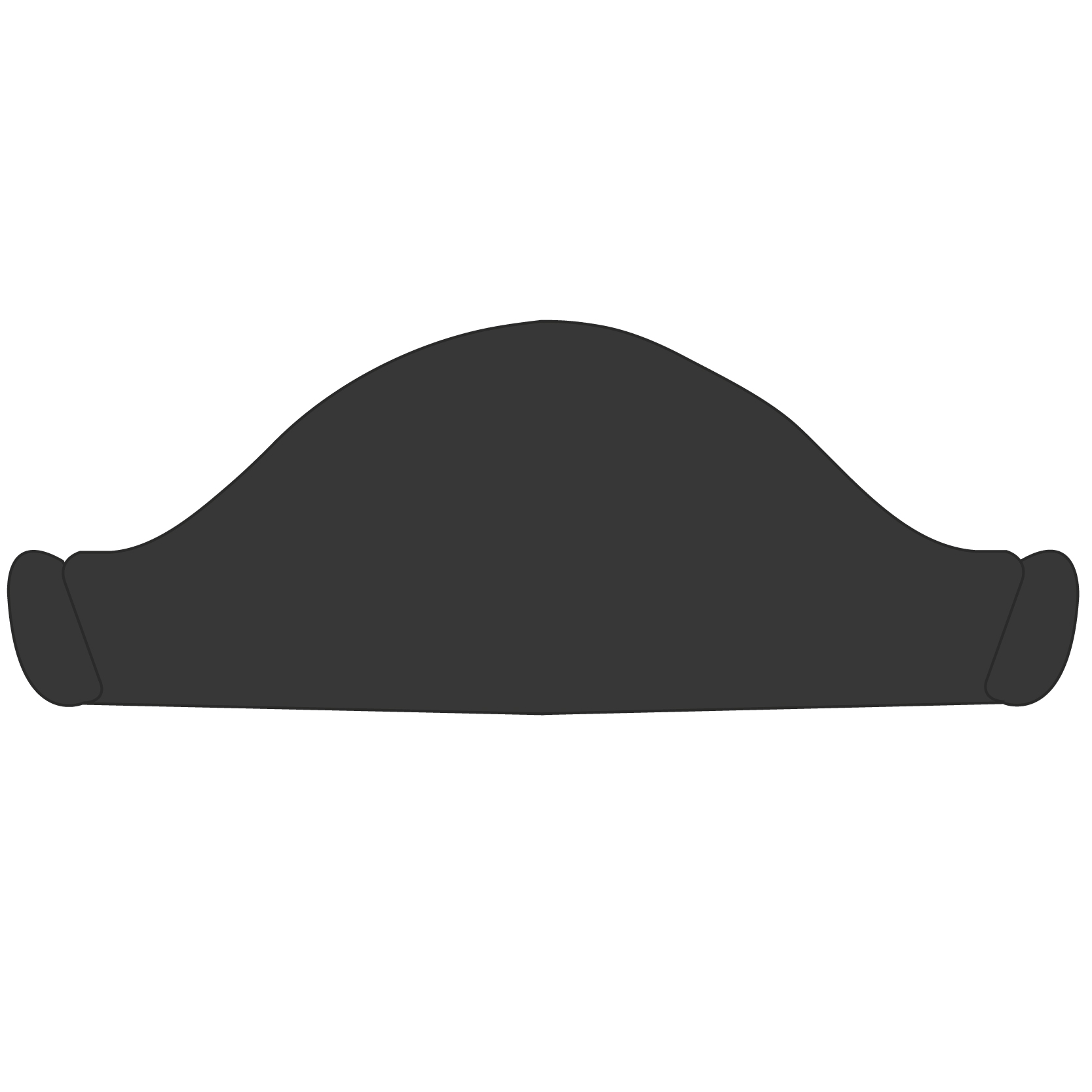 Pirate Hat 2