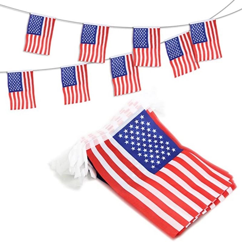 American String Pennant Banners 2