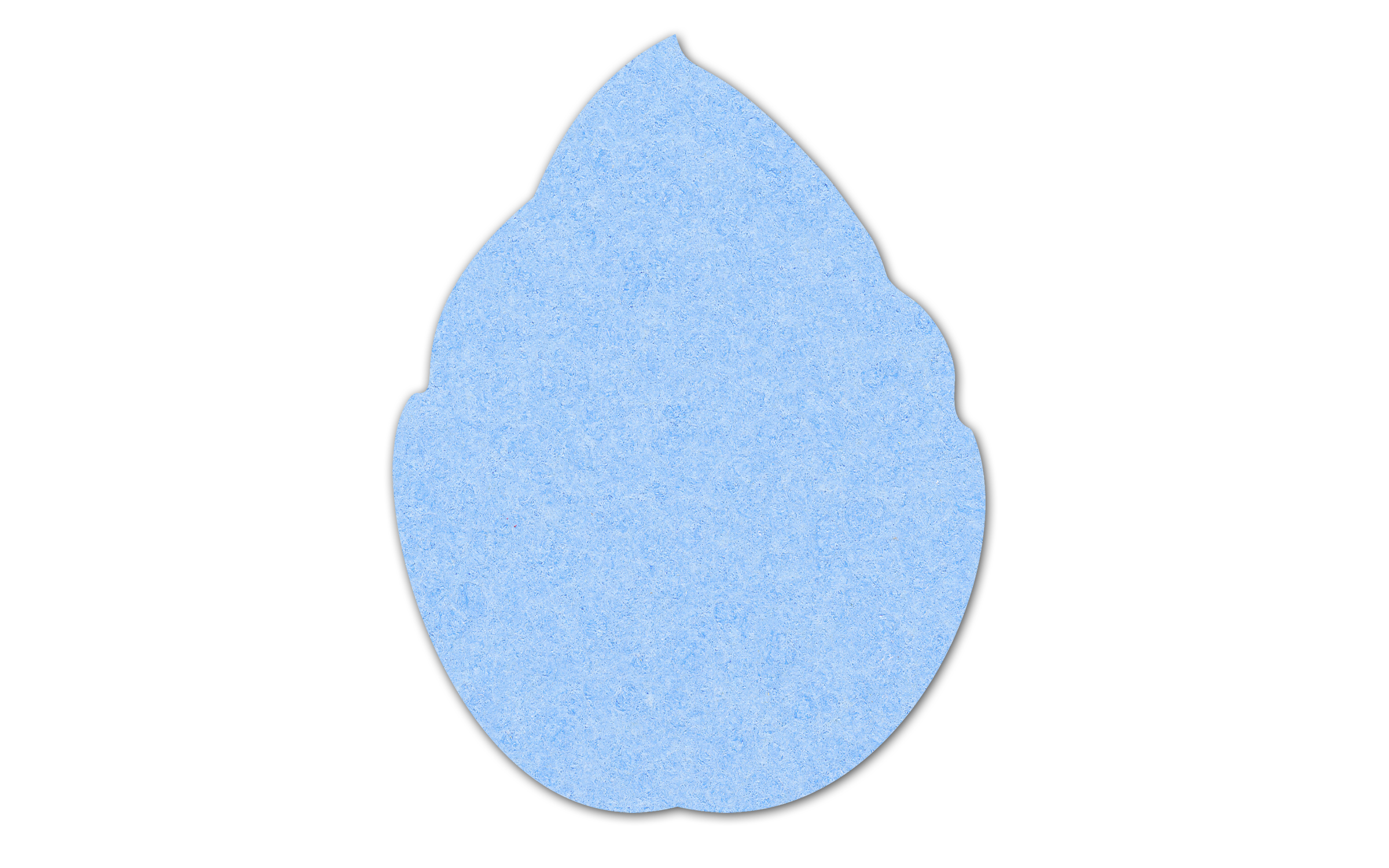 Leaf Compressed Sponge 5