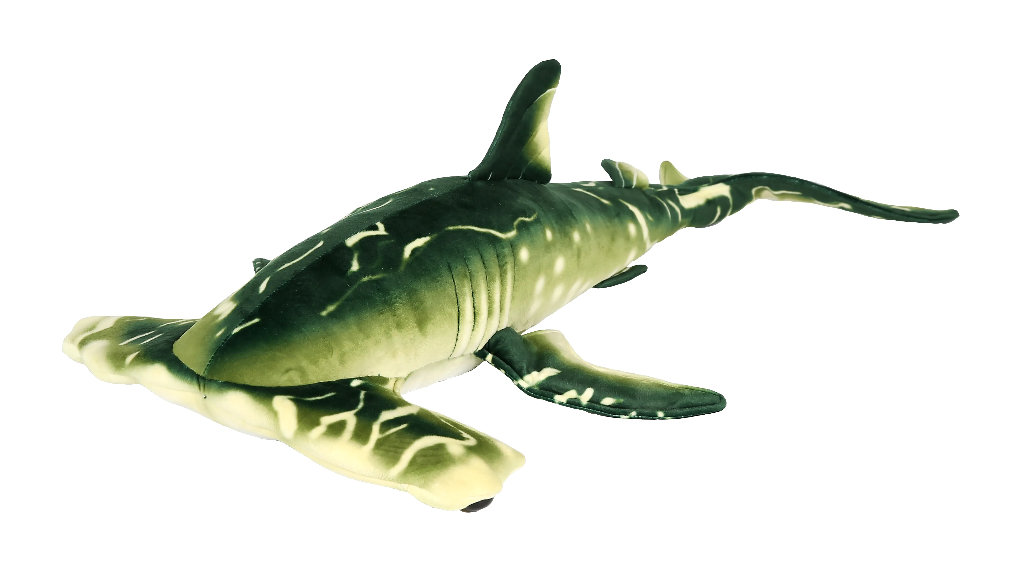 Blue and Green Sharks 5