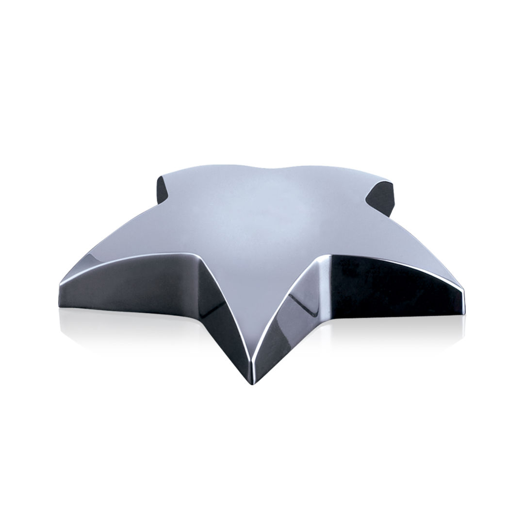 Hollister Star Paperweight 4