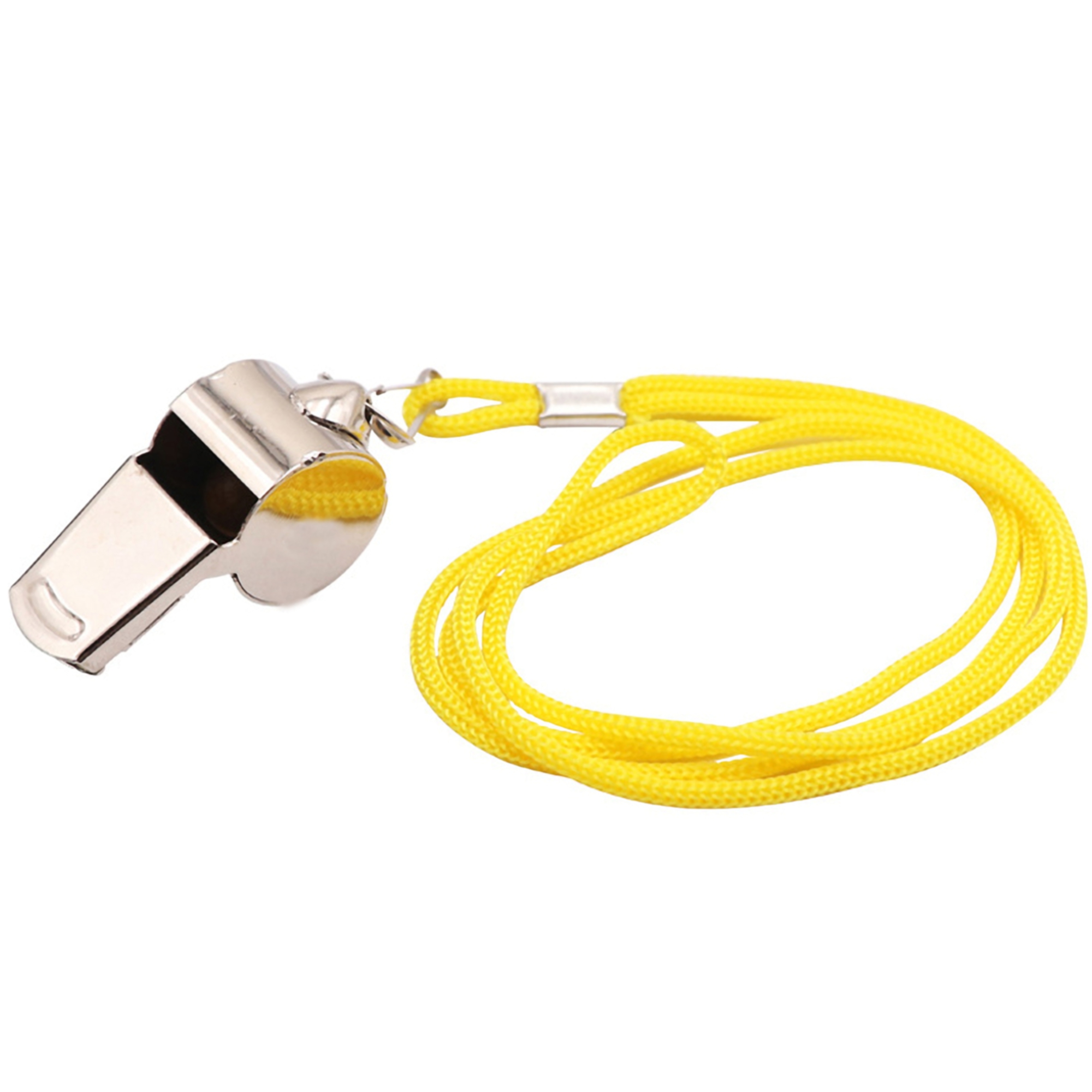 Stainless Steel Whistle w/Lanyard 2