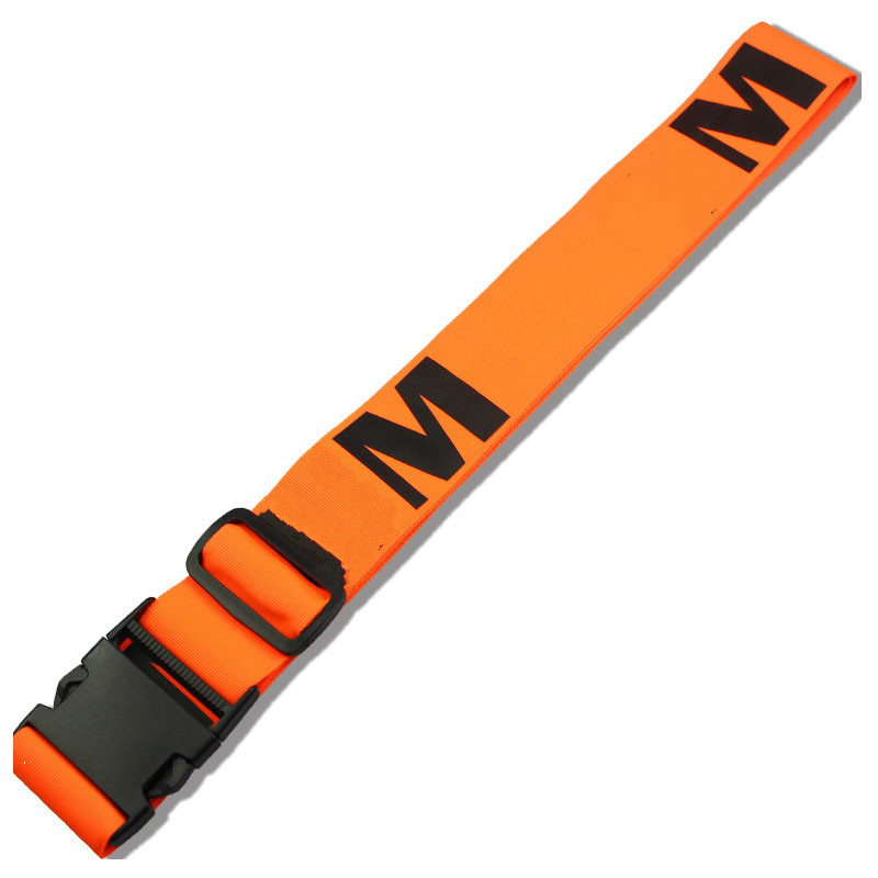 Luggage Belt 1
