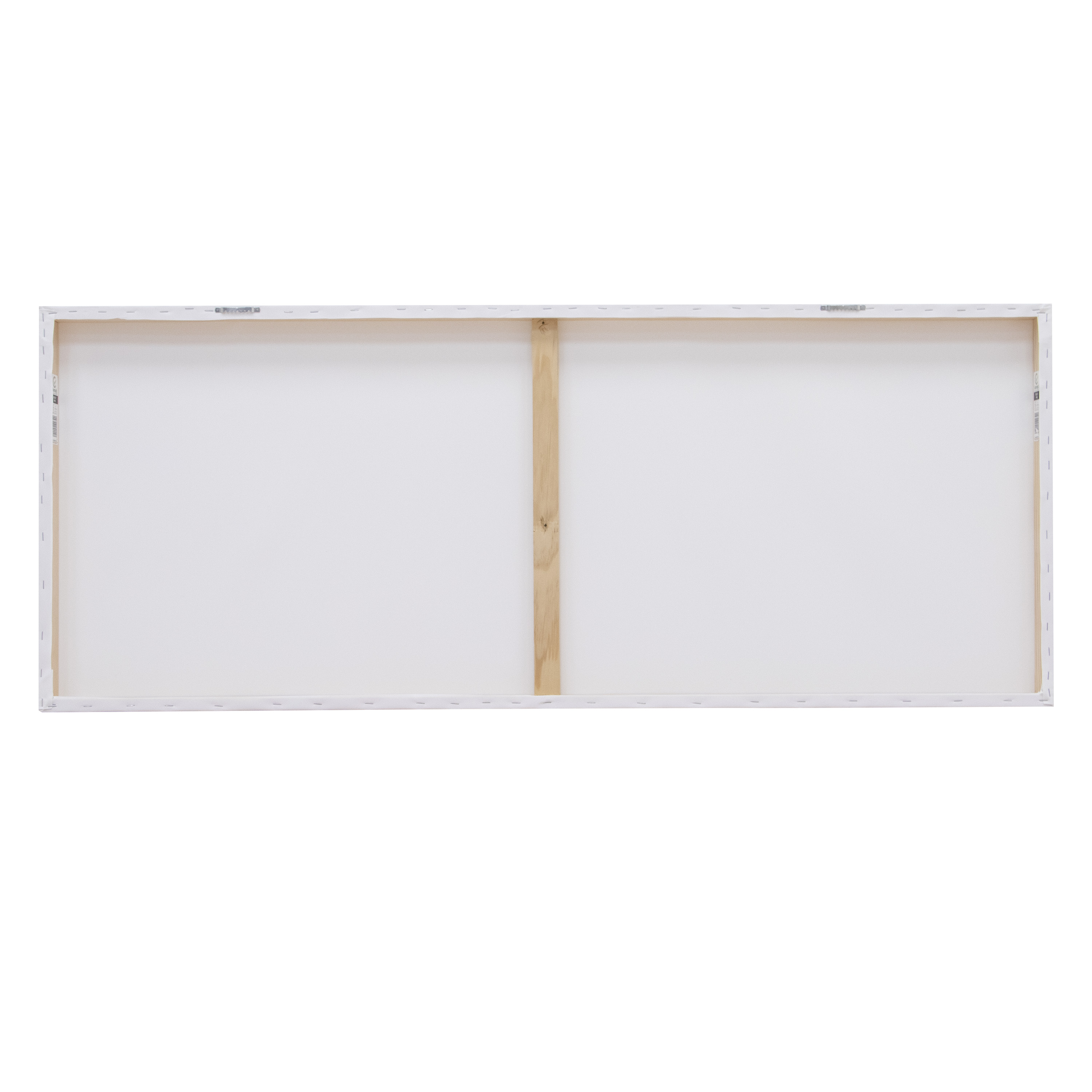24" x 60" Canvas Print 4