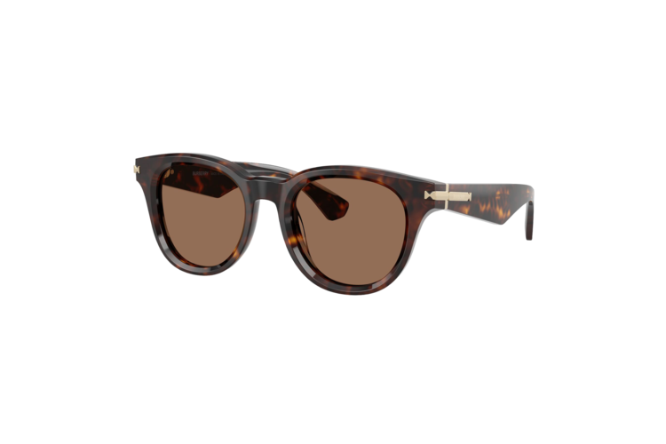 Burberry BE4439 Sunglasses 1