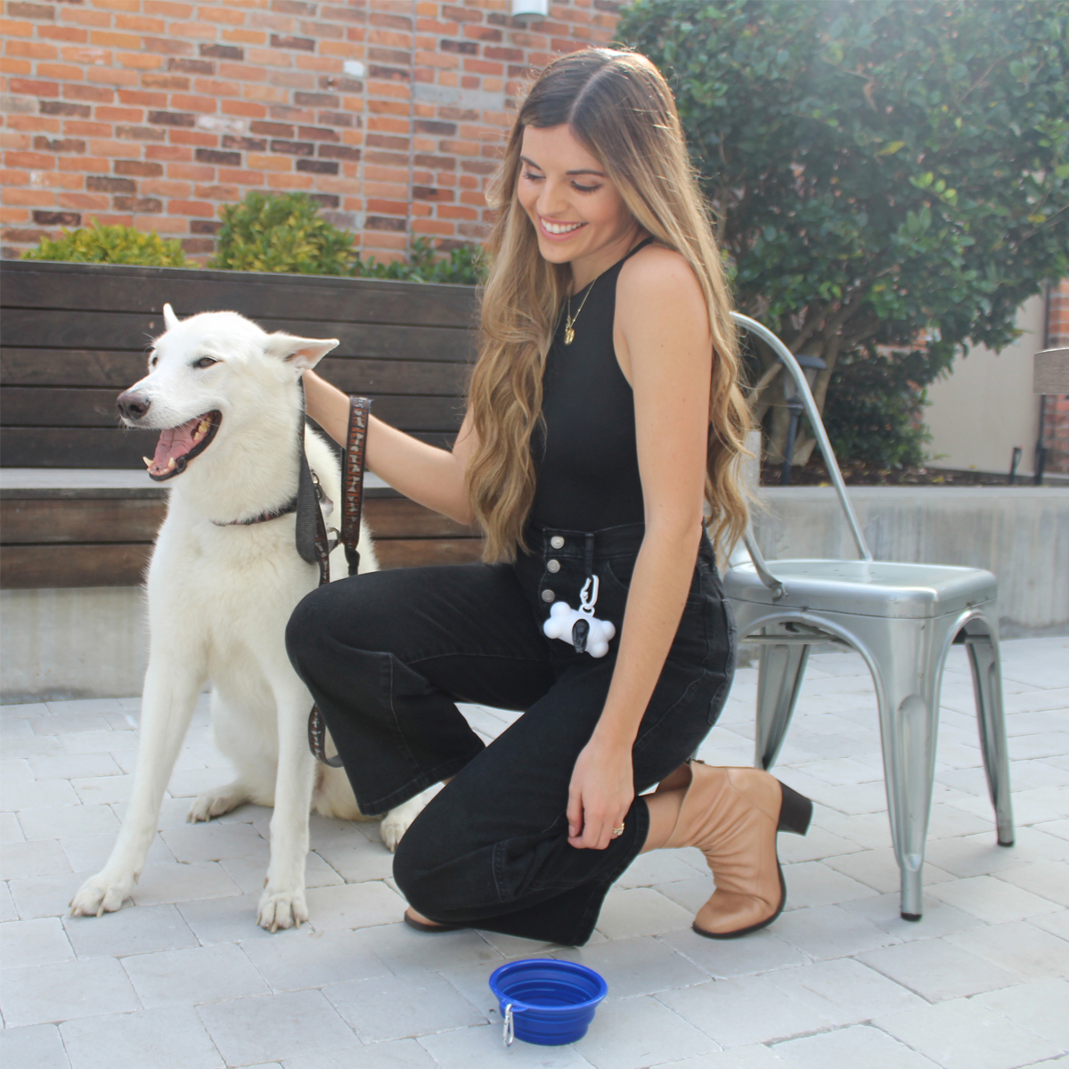 Collapsible Pet Bowl 20