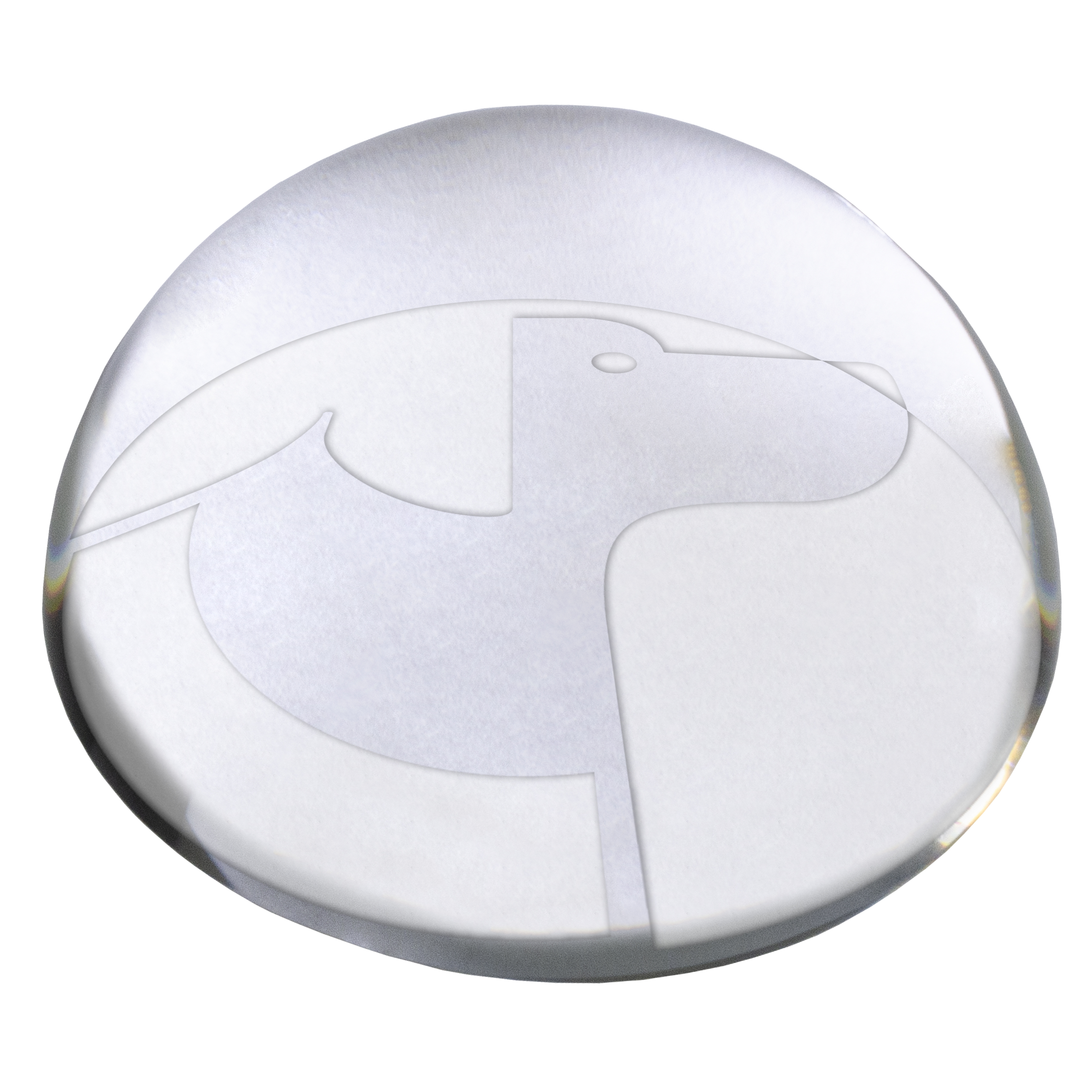 Lead Crystal Dome Magnifier