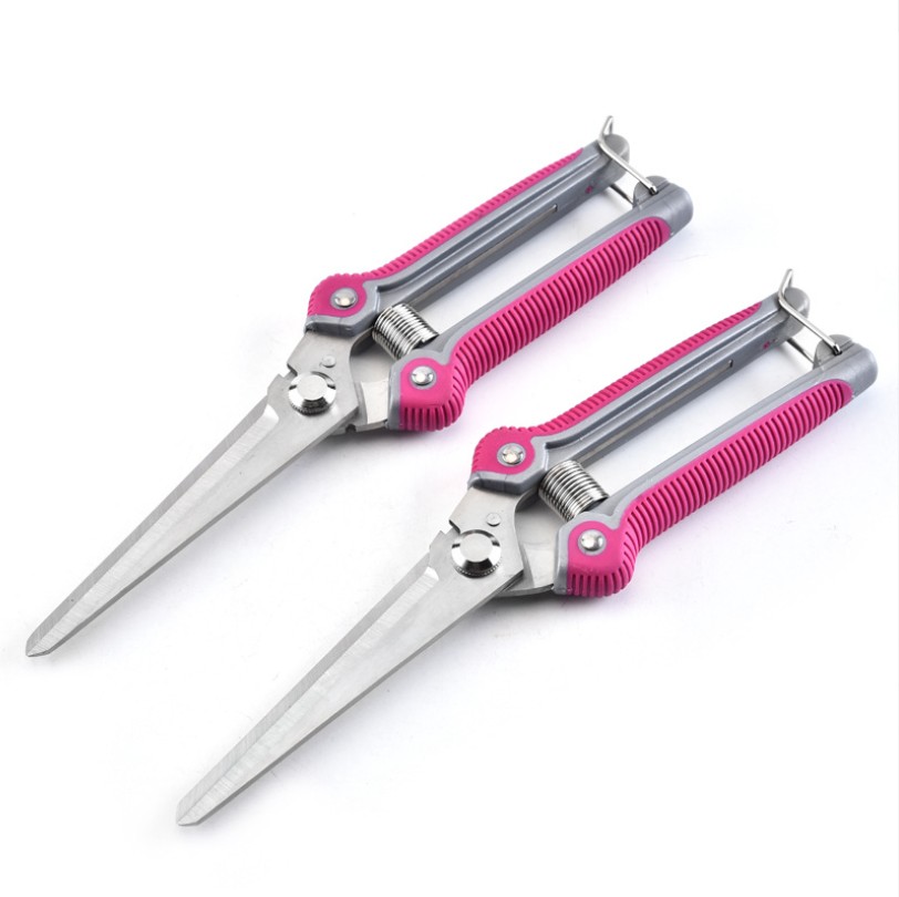 Stainless Steel Garden Pruning Shear 1