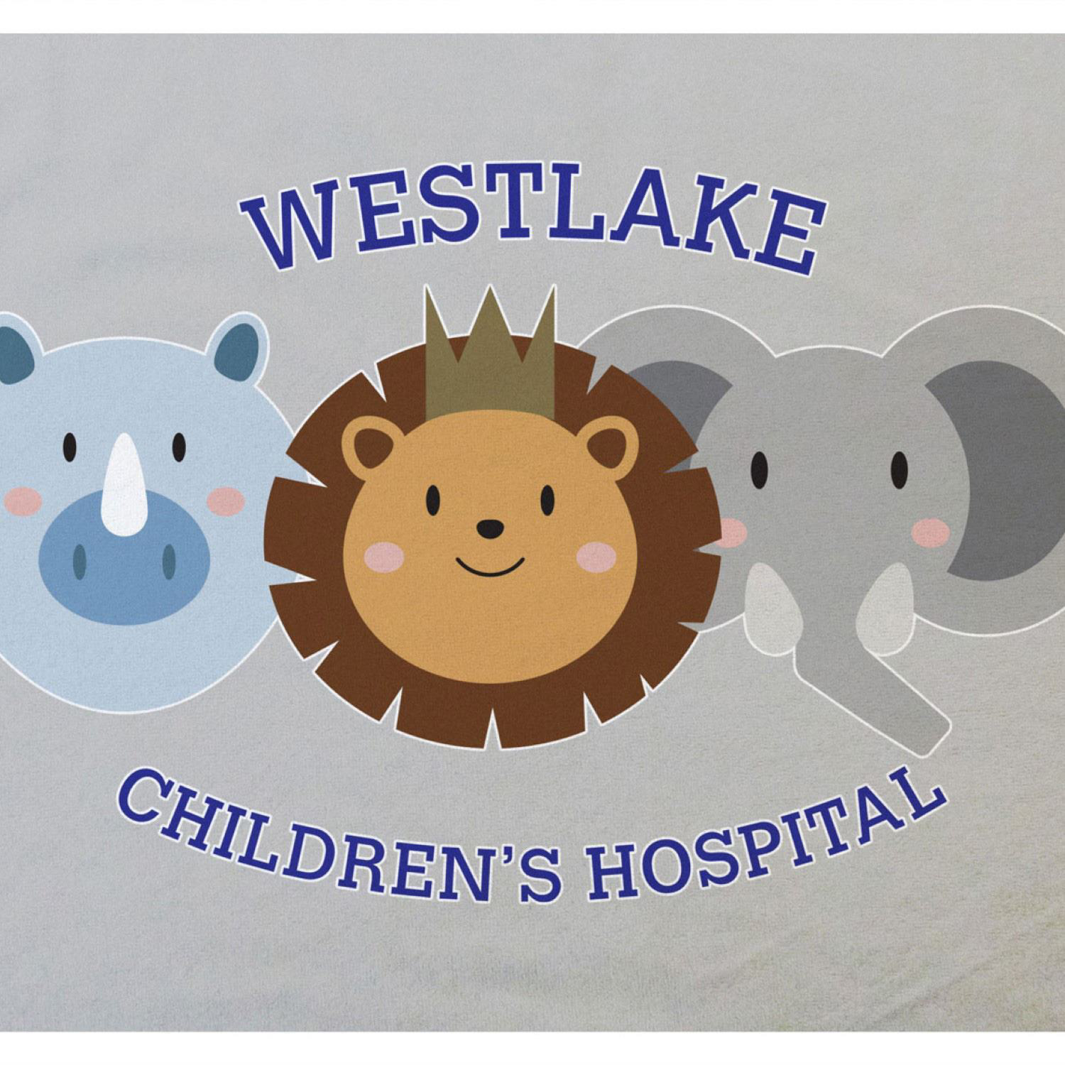 30" x 40" Sublimation Plush Throw Blanket 4