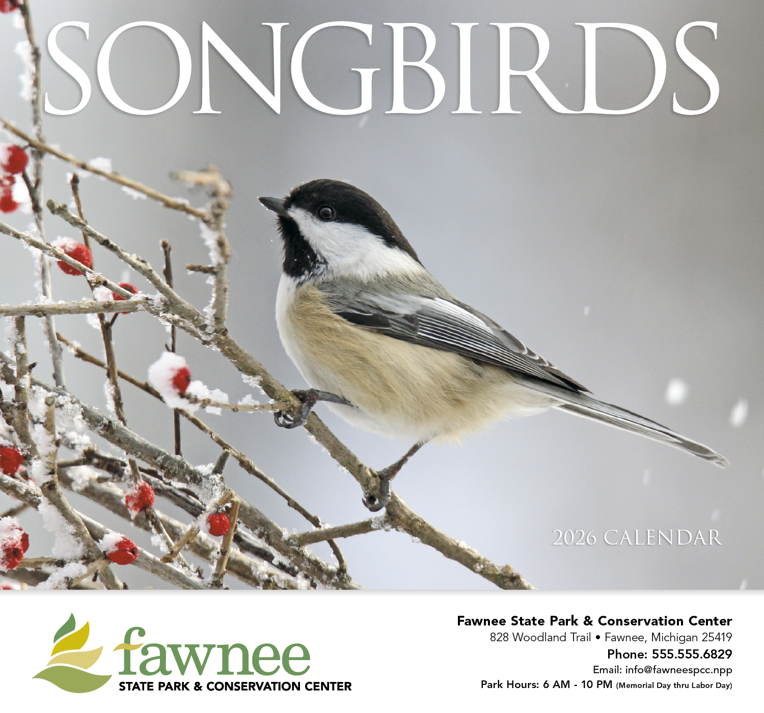 HotLine® Products Songbirds Appointment Calendar - Stapled 4