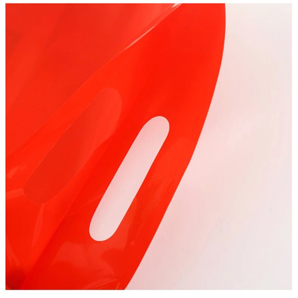 Plastic boutique Bags 13