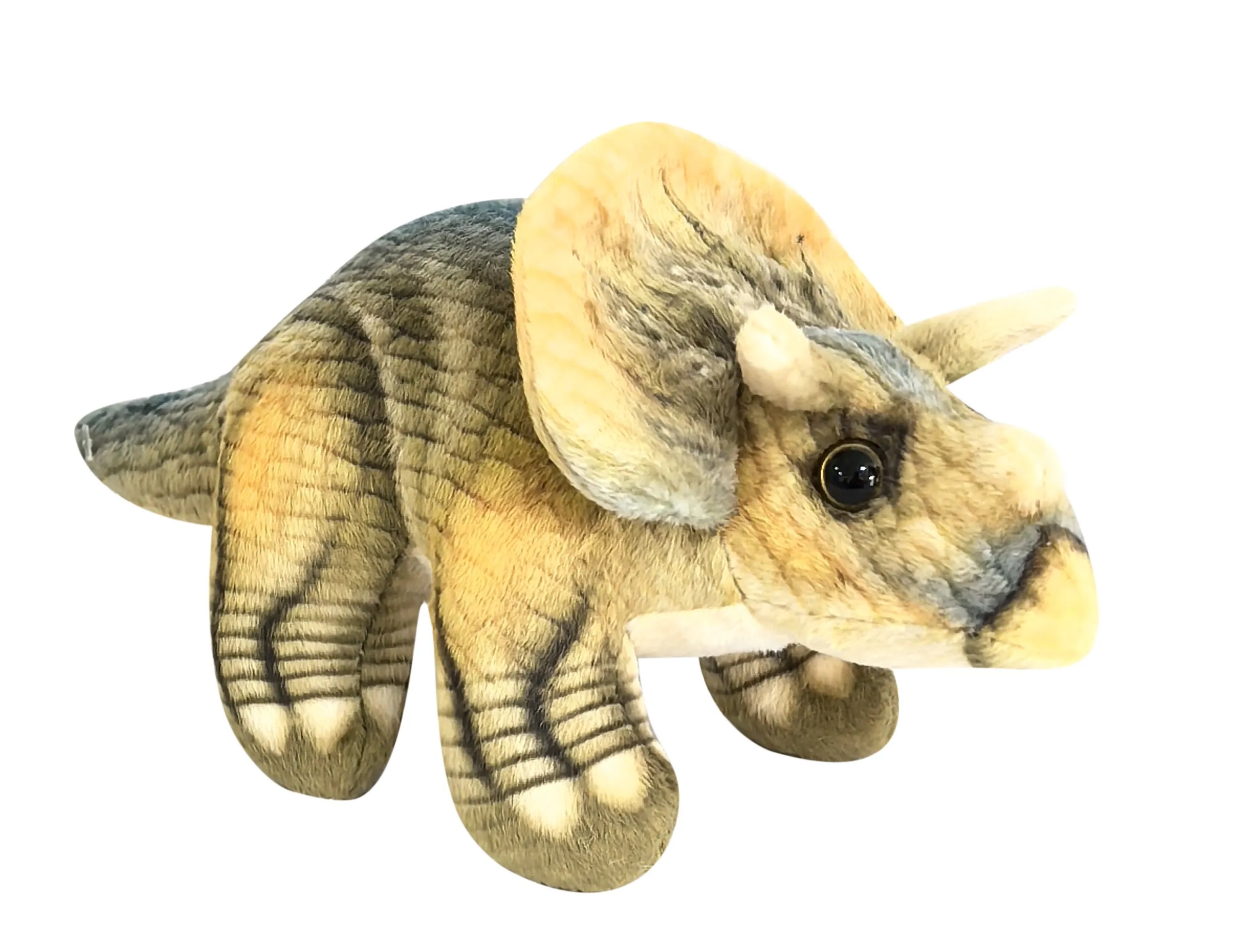 Green Big Eye Triceratops 2