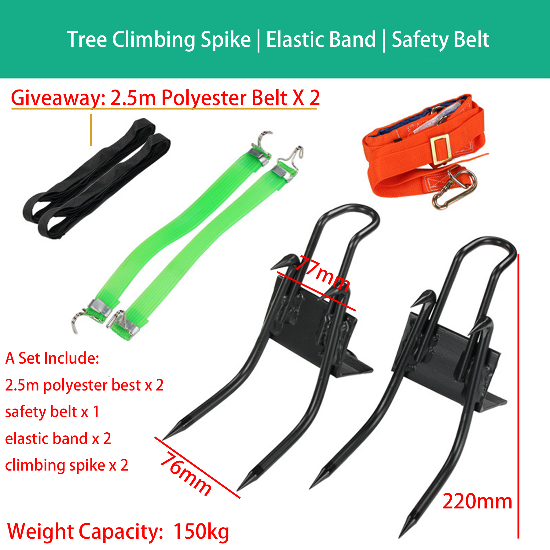 Tree Climbing Spike 4 Spurs, with Adjustable Safe Seat Belts 2