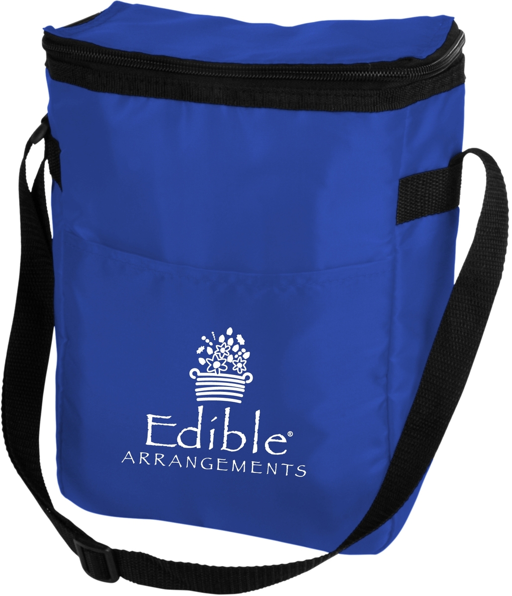 Large Insulated 12 Can Cooler Bag