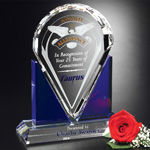 Distinction Award 4