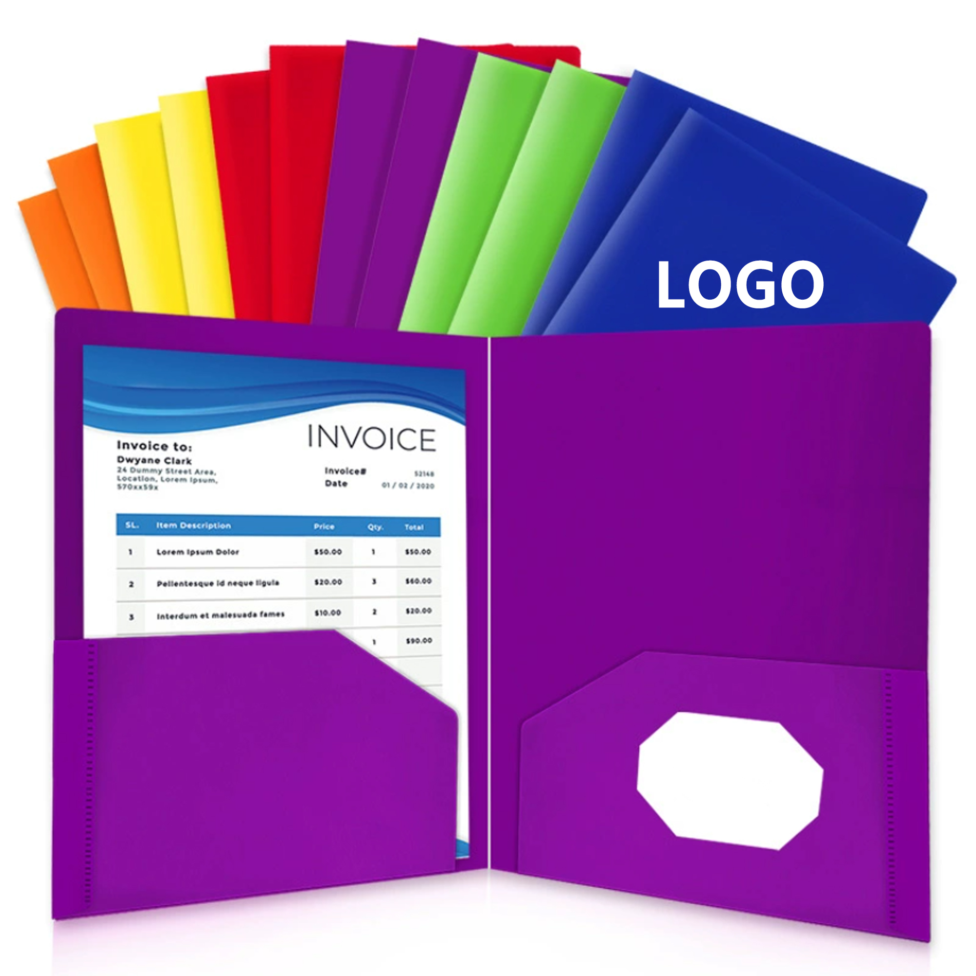 Plastic Folders with Pockets 2
