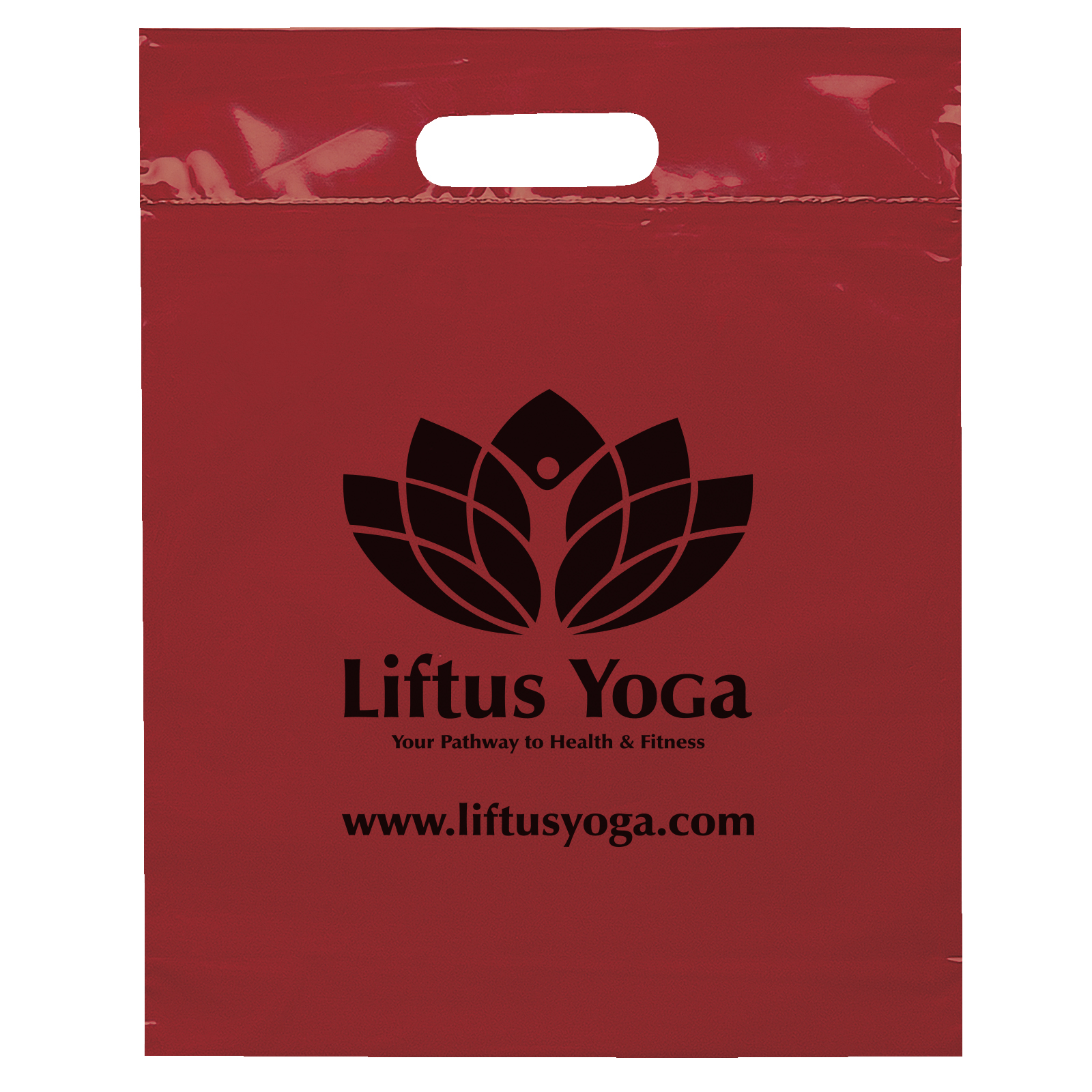 Die Cut Handle Bag - 12W x 15H x 3 - Flexo Ink Print 6
