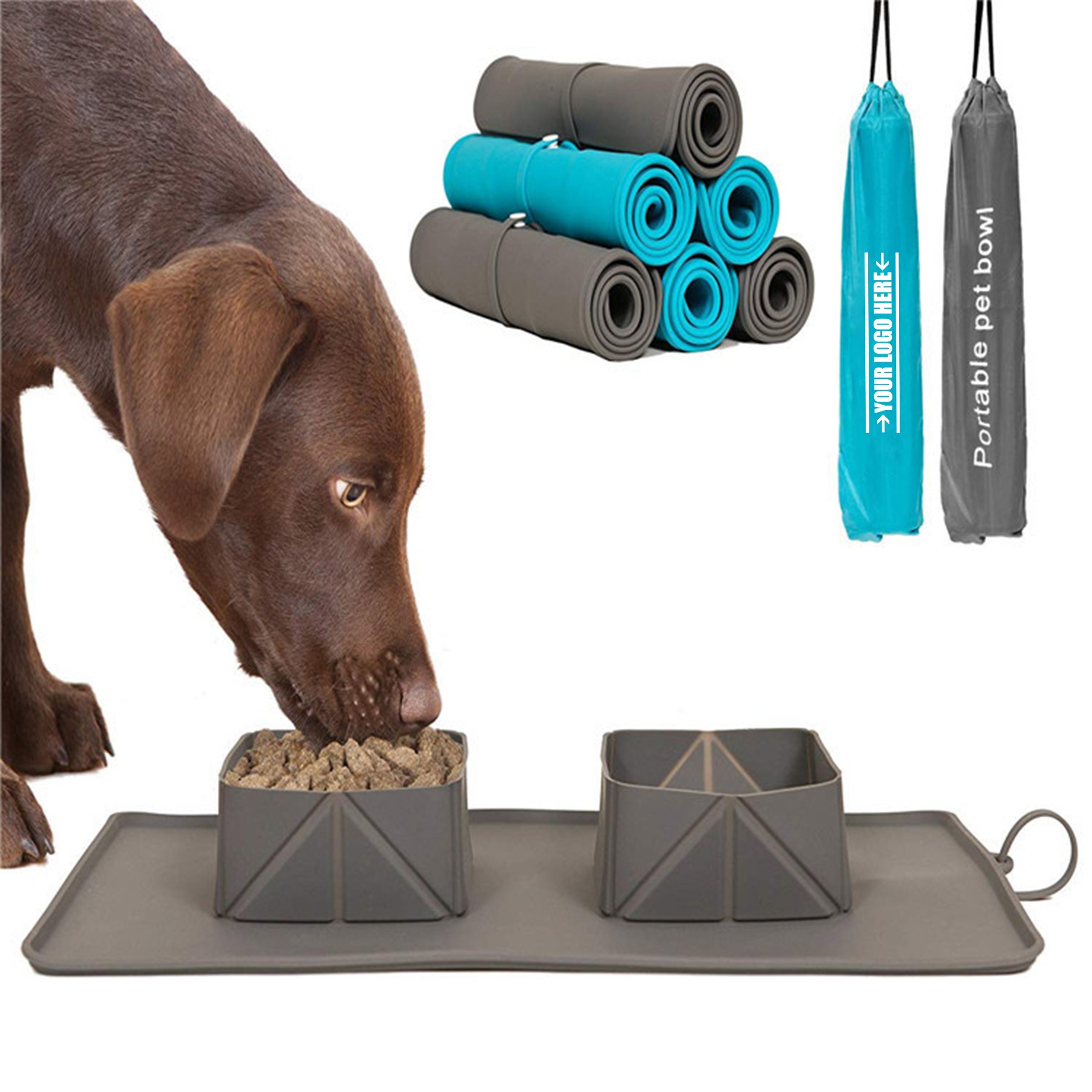 Foldable Pet Feeding Bowl With Portable Bag 2