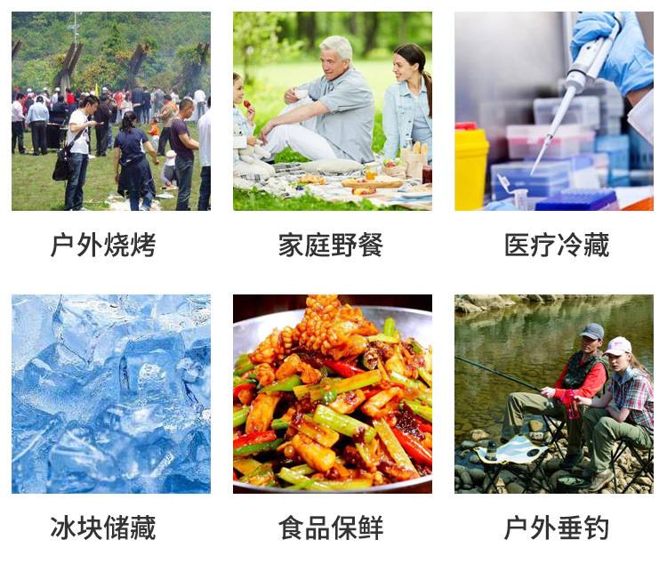 20L Car Refrigerator Incubator 10