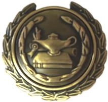 Lamp of Knowledge Award Lapel Pin- 1 3/8" 1